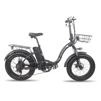 1000 Вт Мотор 18АЧ Электровелосипед ЕС В наличии Бесплатная доставка 20-дюймовый Складной Электровелосипед с толстыми шинами