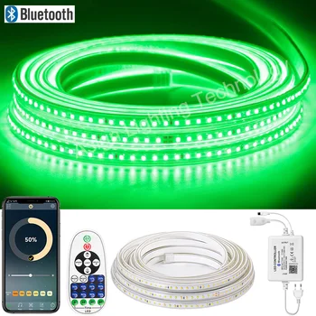 Высокая безопасность EU 220V LED Strip Light SMD2835 120LEDs/m Гибкая Светодиодная Лента Наружная Водонепроницаемая Светодиодная Лента Remote/Bluetooth/Tuya WiFi